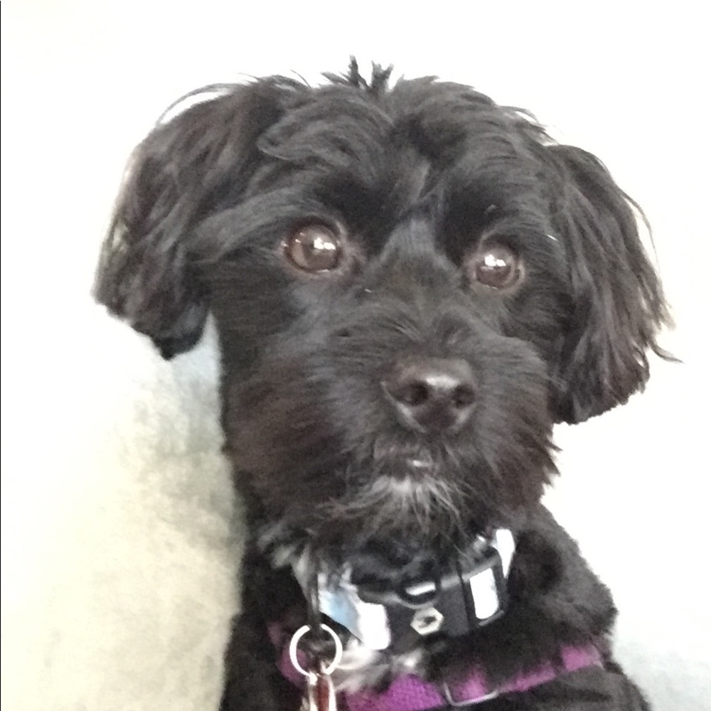 Meet your Posher, Erin